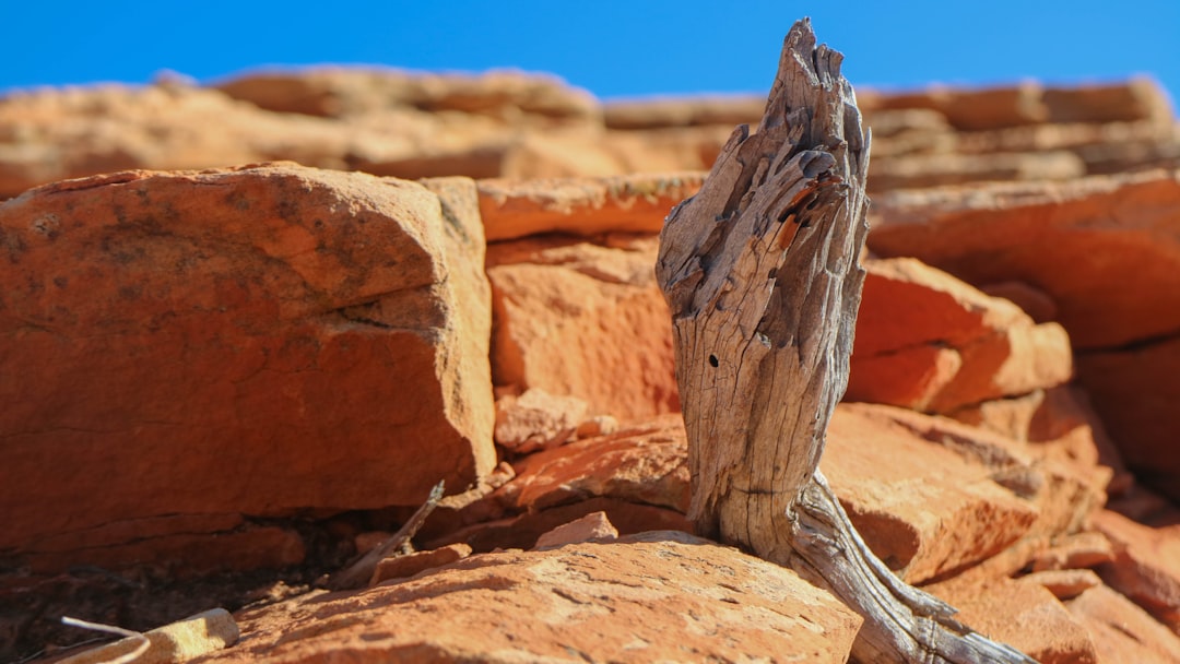 Pitch a Tent or Book a Room: The Top 10 Places to Stay in Zion Nati… — Pitch a Tent or Book a