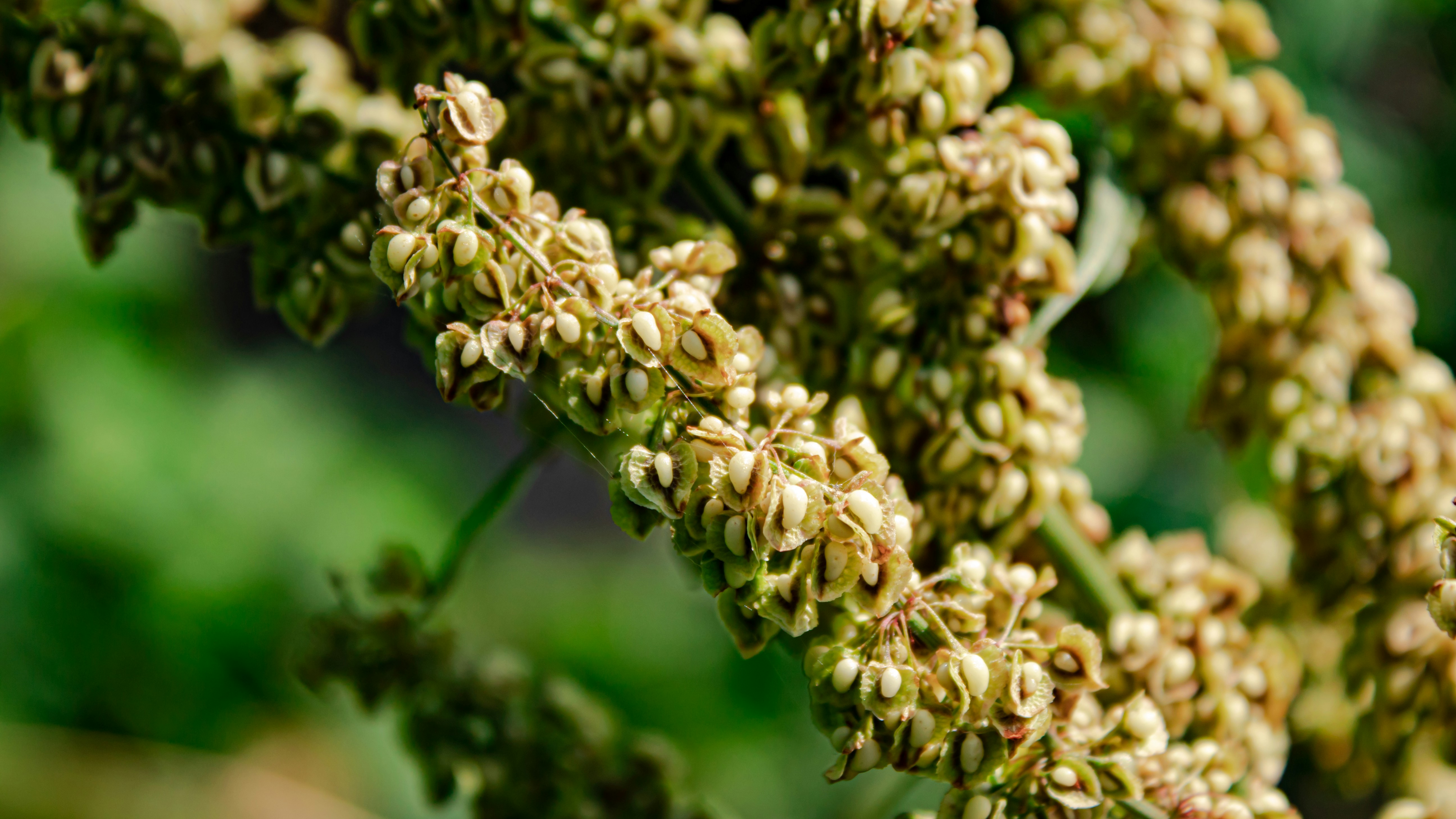 Photo by oliver_fetter