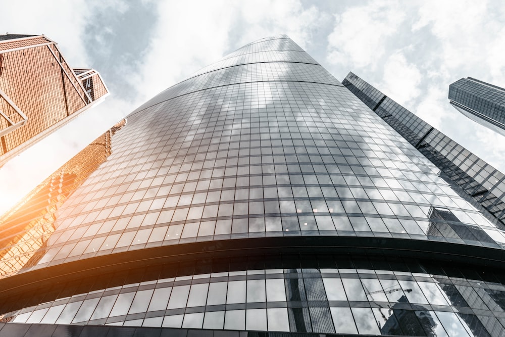 low-angle photo of glass high-rise building