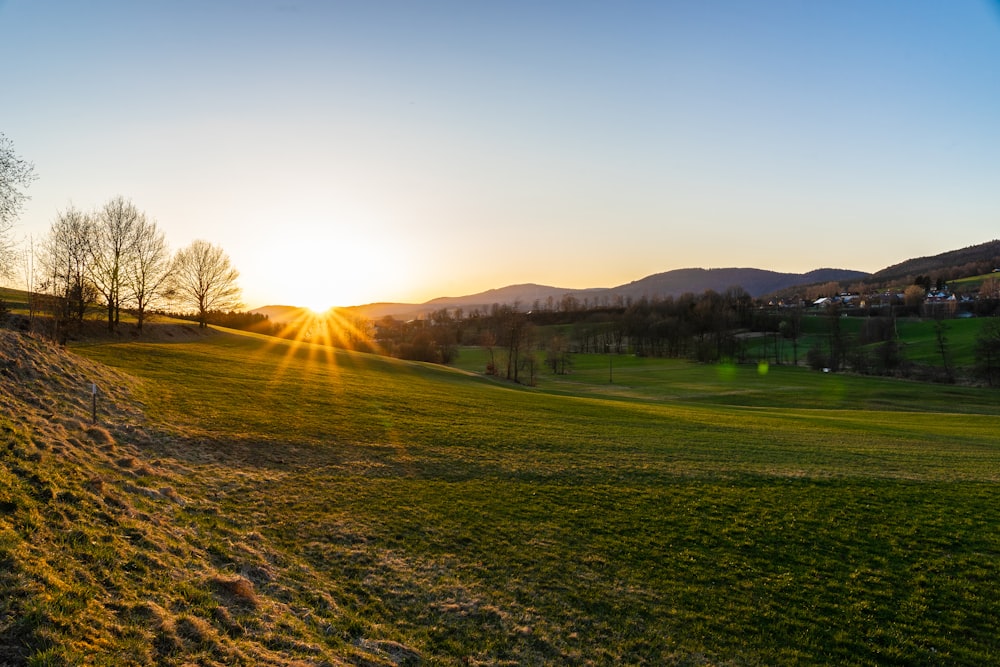 green grass field