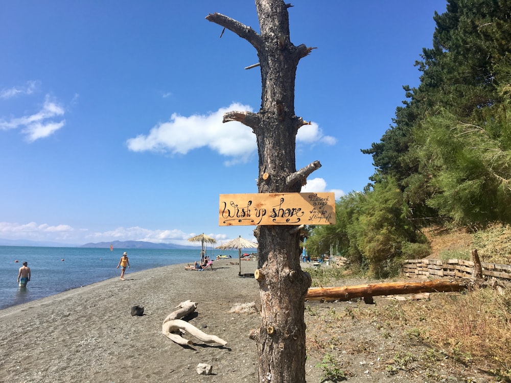 wooden sign on tree trunk
