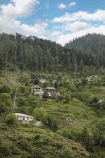 Houses are dispersed across a lush, green hillside surrounded by dense forest. The sky is bright with scattered clouds, and the scene conveys a sense of tranquility and seclusion.
