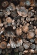 pile of logs