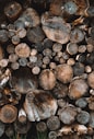 pile of logs