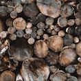 pile of logs