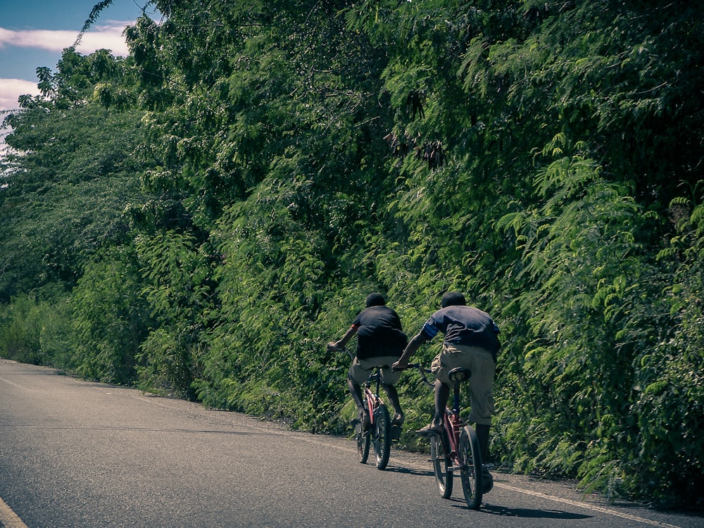 2 person riding bicycle on concrete road besides trees