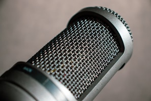 closeup photography of condenser microphone