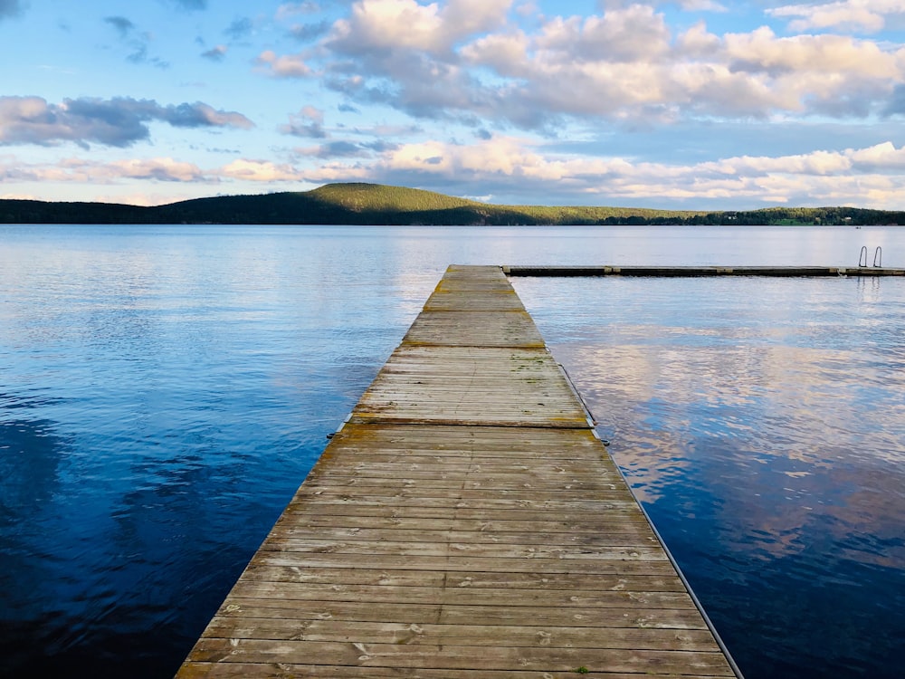 brown wooden dockside