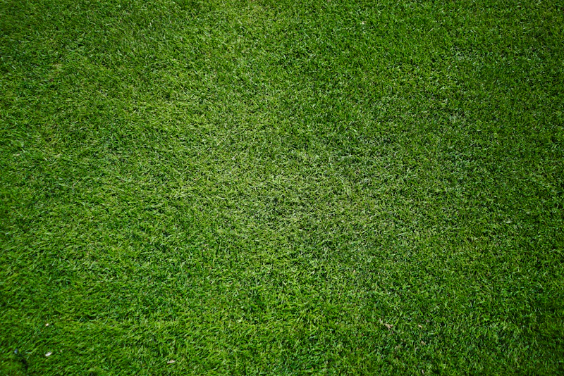 Parques temáticos investem em sustentabilidade e energia limpa