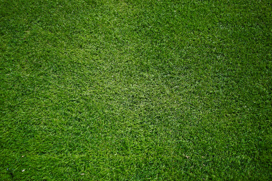 Green Bay Road Pool Garden — before