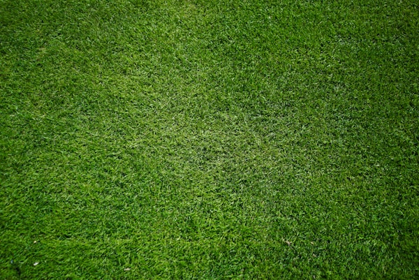 AmbientGlow Smart LED Bulb (2-Pack)