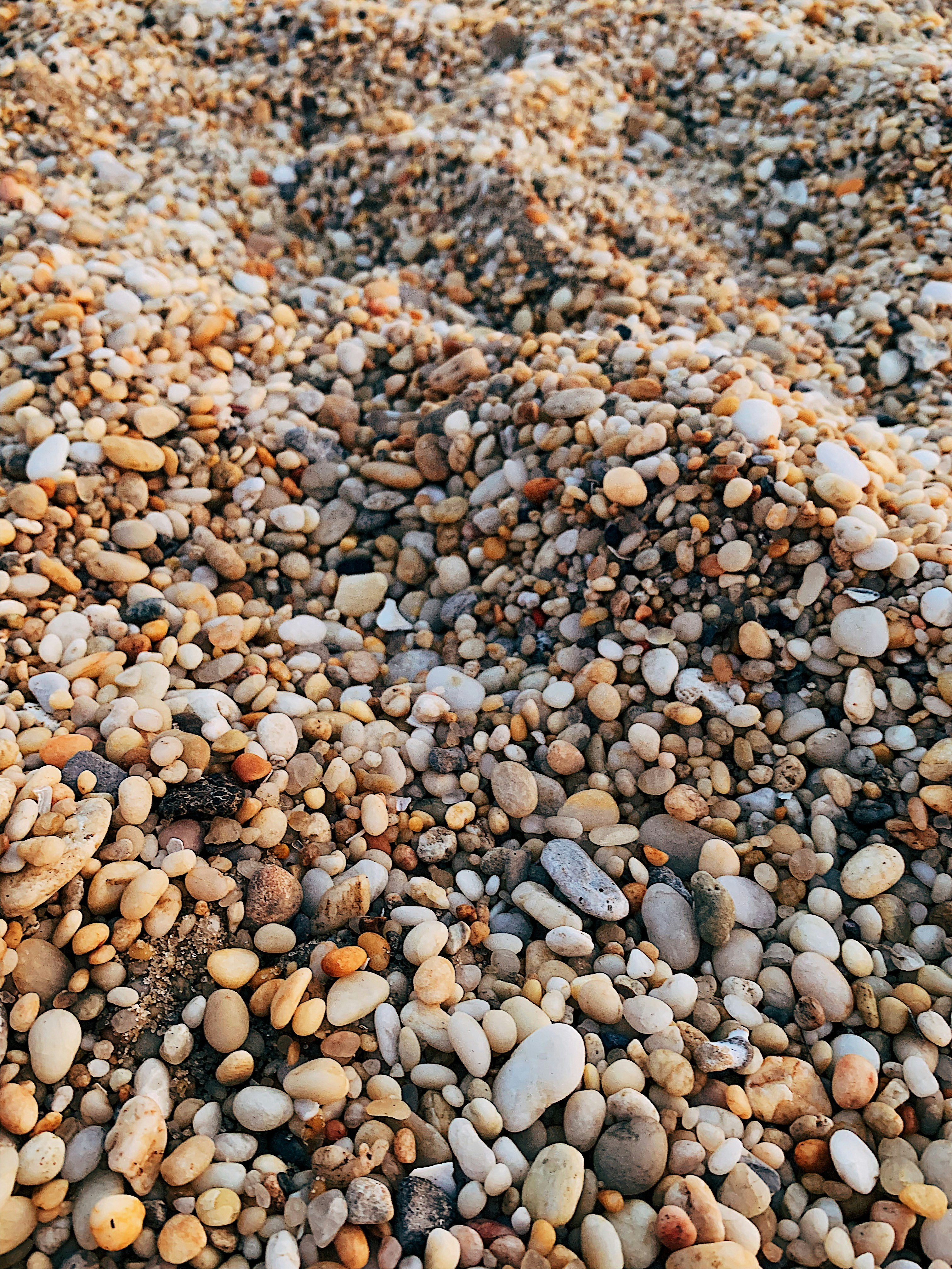 Photo by rosiemorris