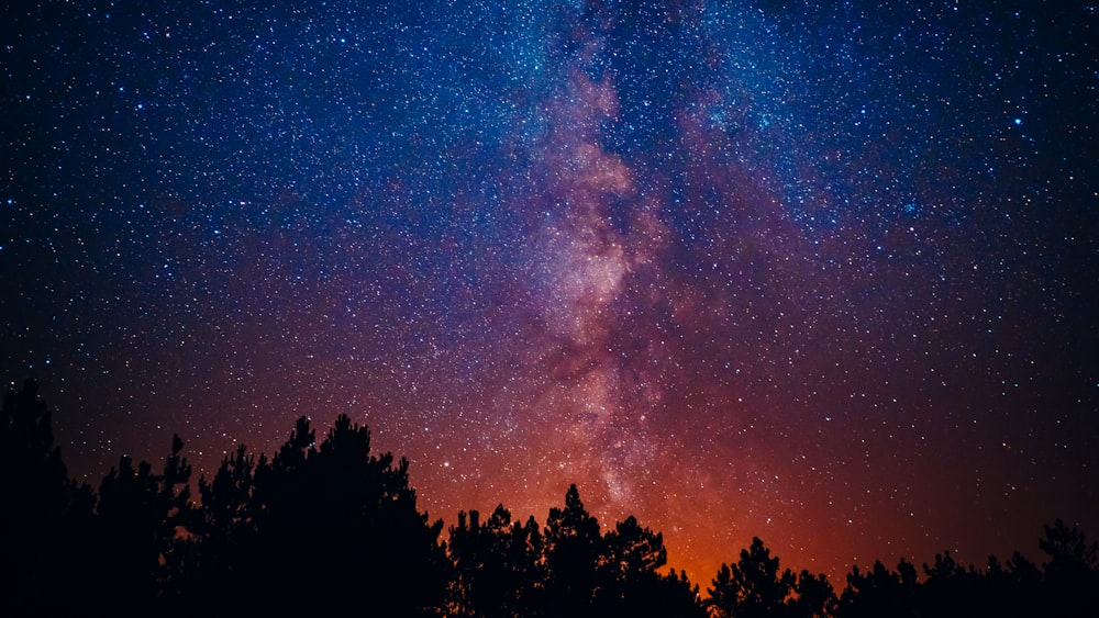 red and black night painting