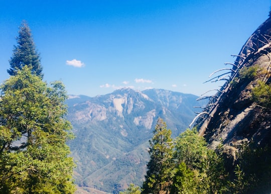 Sequoia National Park, Moro Rock things to do in California