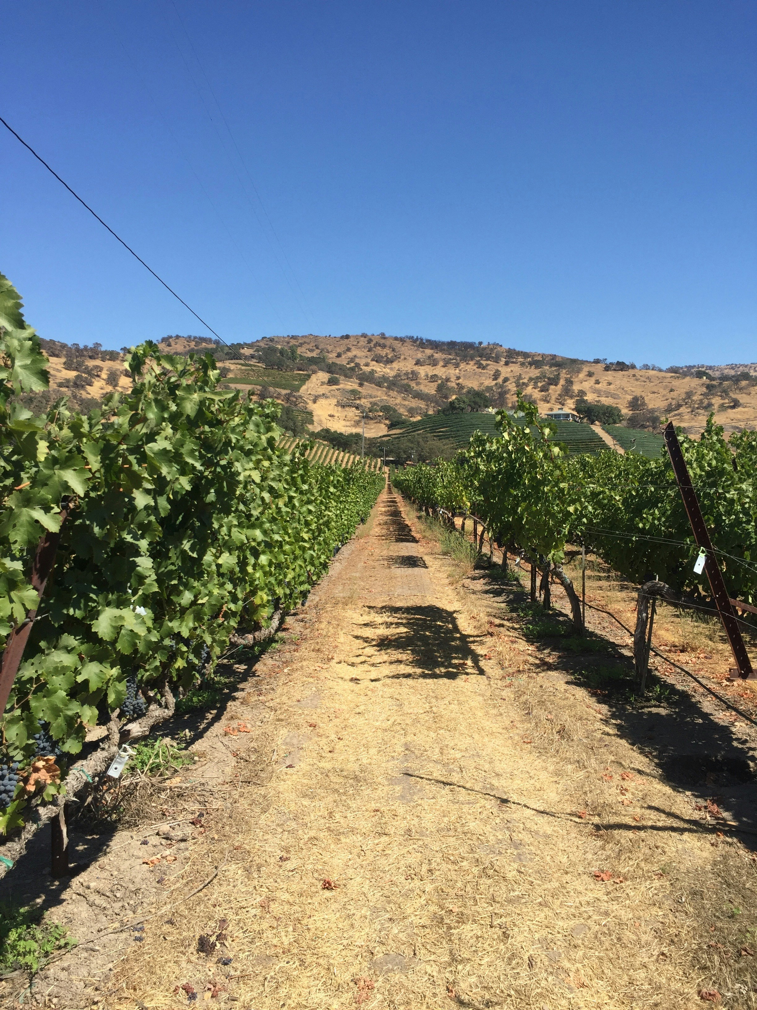 Photo by schuylerjohnston