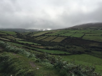 A determined member of the Rural Crime Hunters Club patrolling a misty British countryside at dawn.