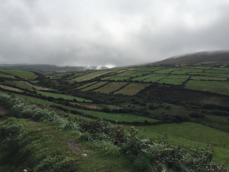 A determined member of the Rural Crime Hunters Club patrolling a misty British countryside at dawn.