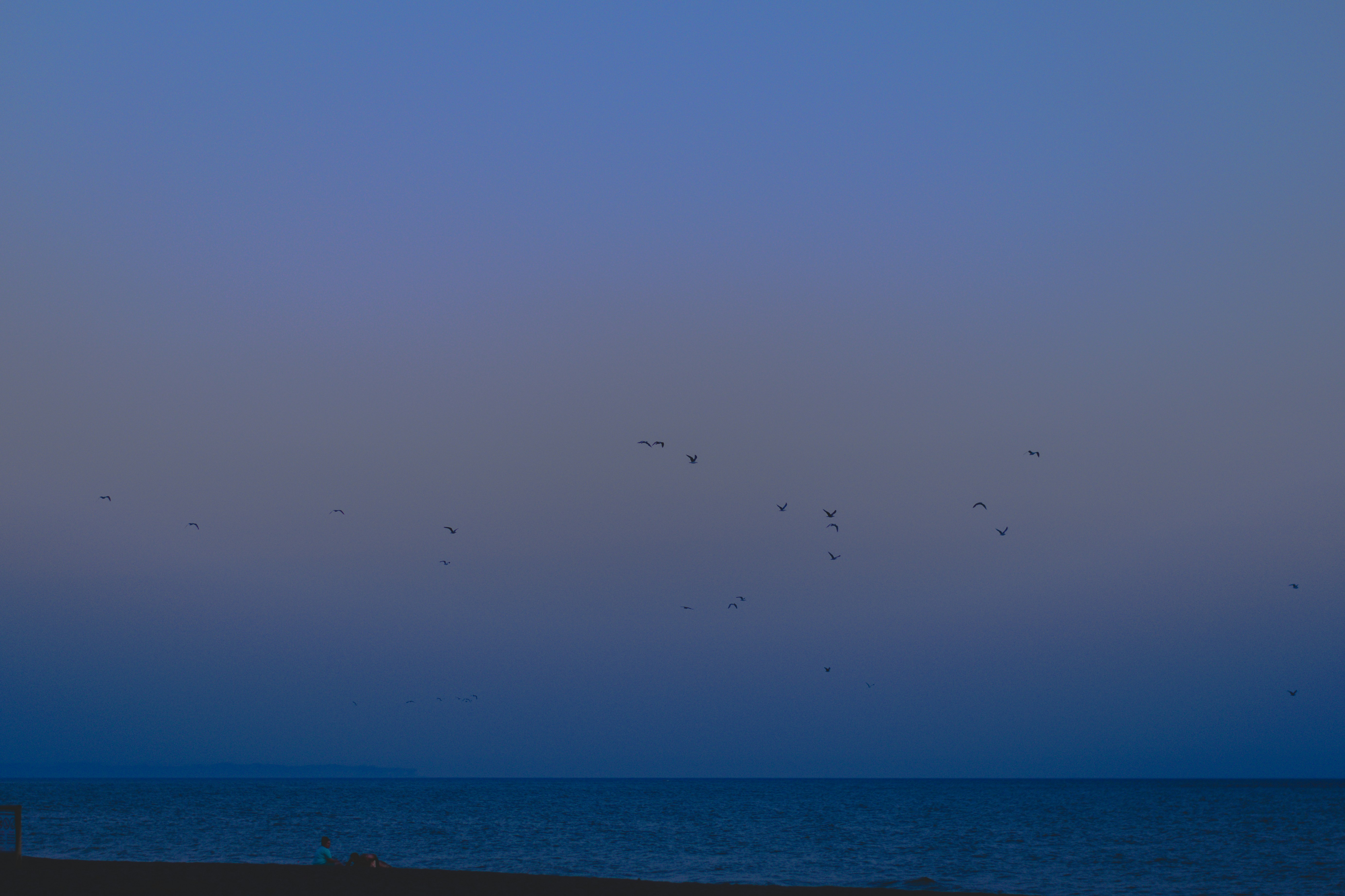 Photo by ngelah