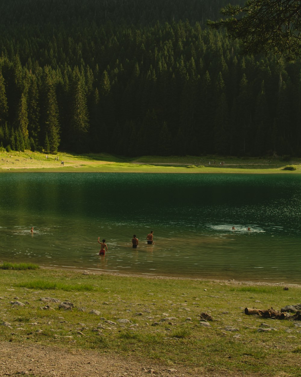 people walking on lake