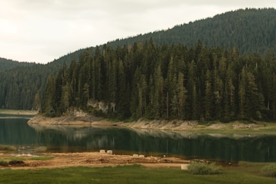 A serene lakeside parcel with calm water reflecting the surrounding forest.
