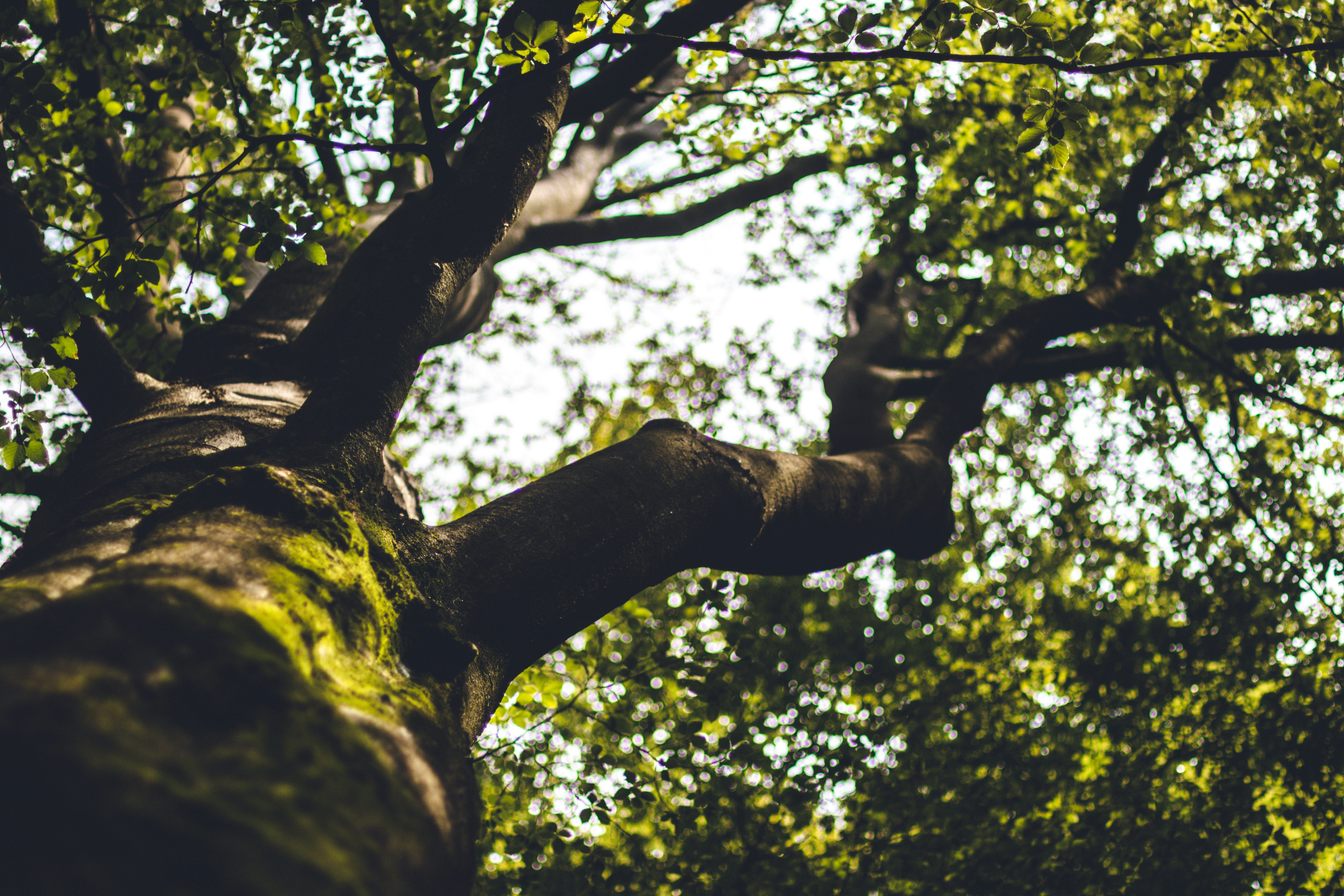 Photo by jeswinthomas