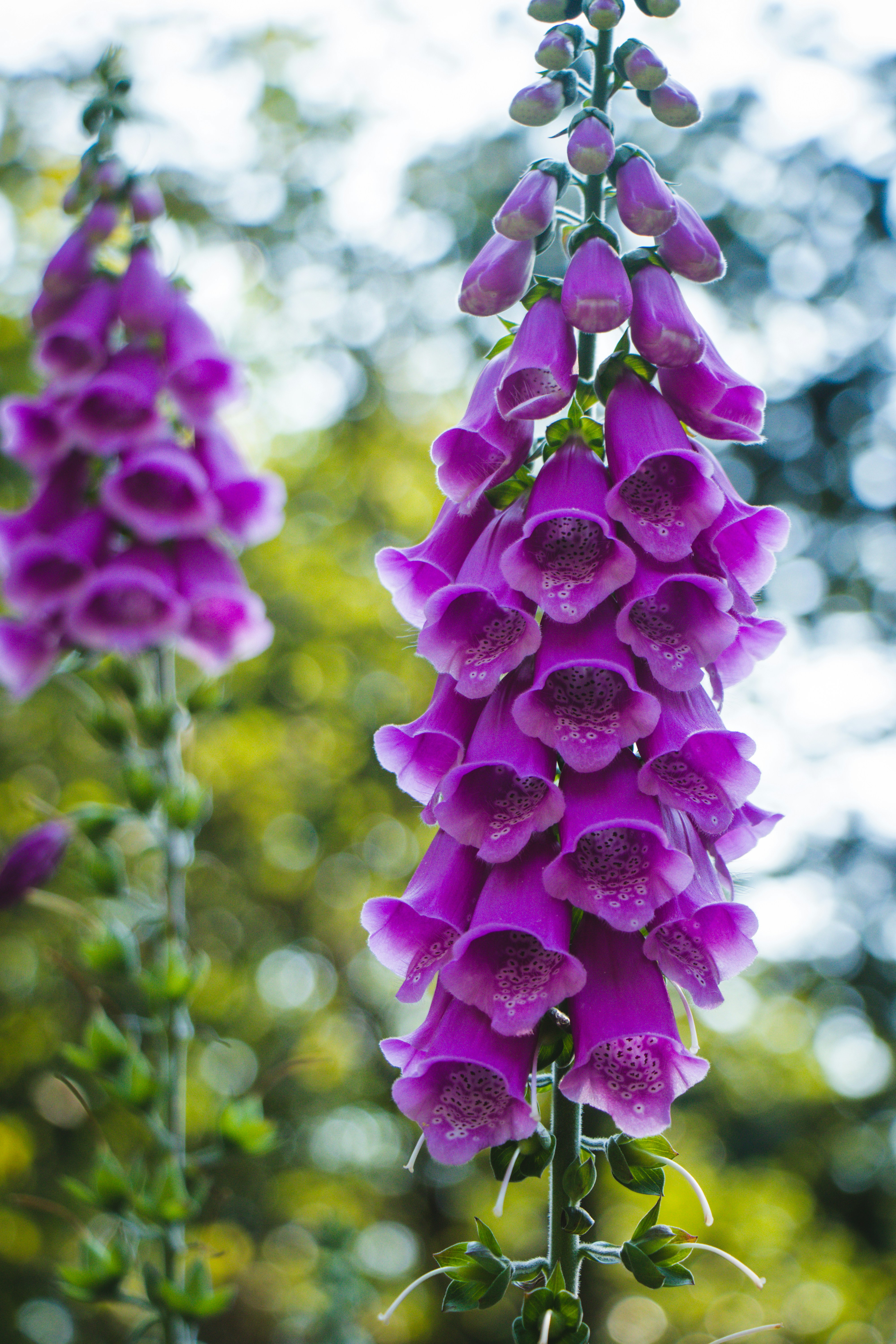 Photo by jeswinthomas