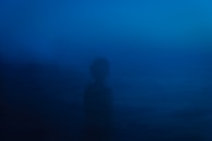 An ethereal wolf figure surrounded by swirling violet and scarlet mist