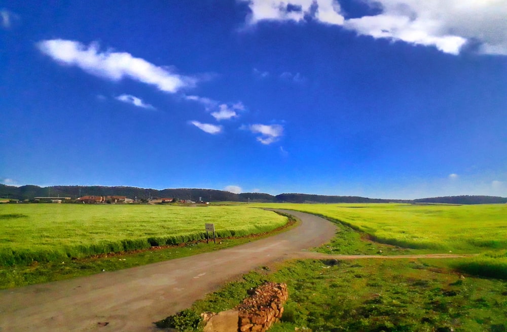 dirt road between grass field