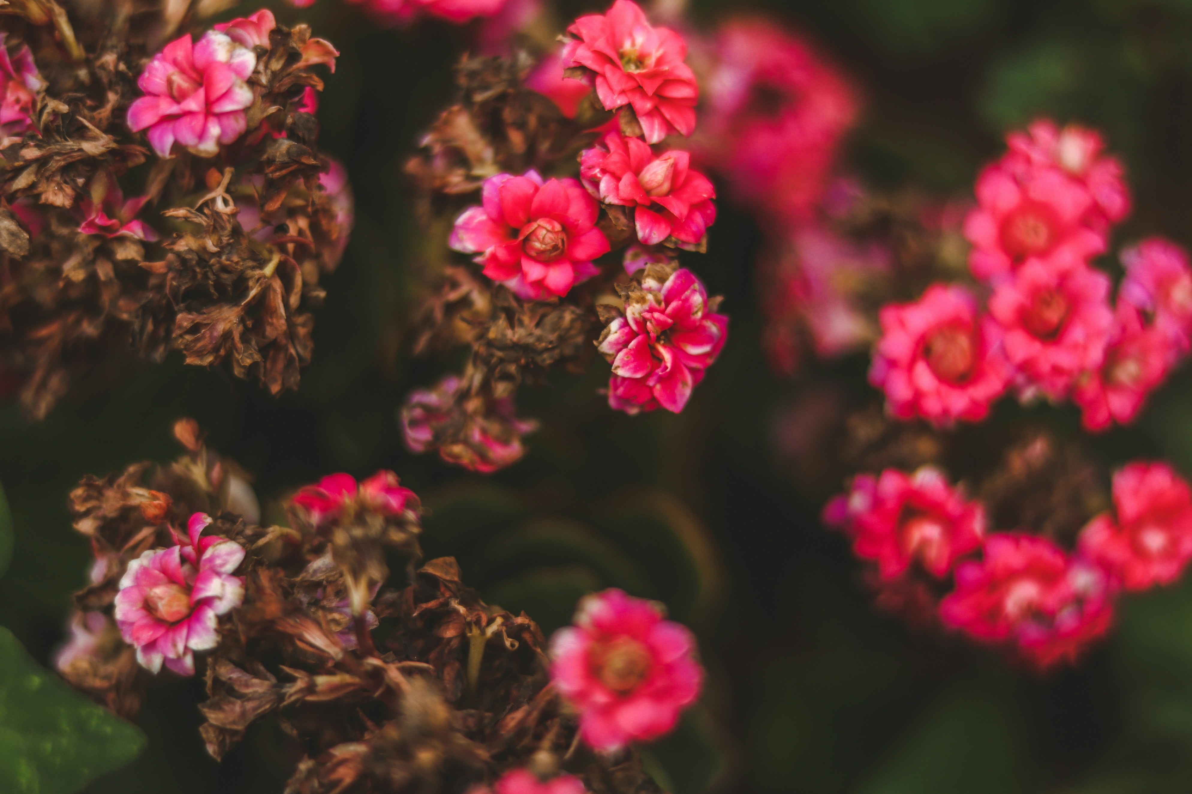 Photo by brinabboyle