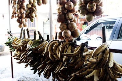 Green plantain bunches hanging in a sunlit Ecuadorian kitchen
