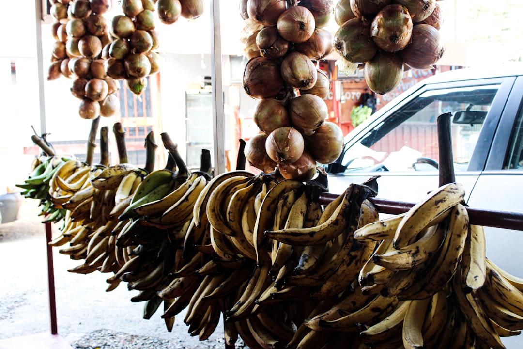 banana fruits handing on sticks