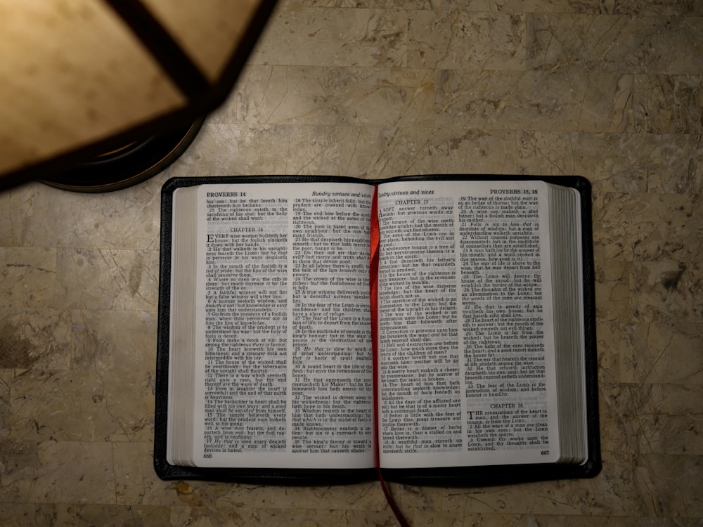 white and black bible book