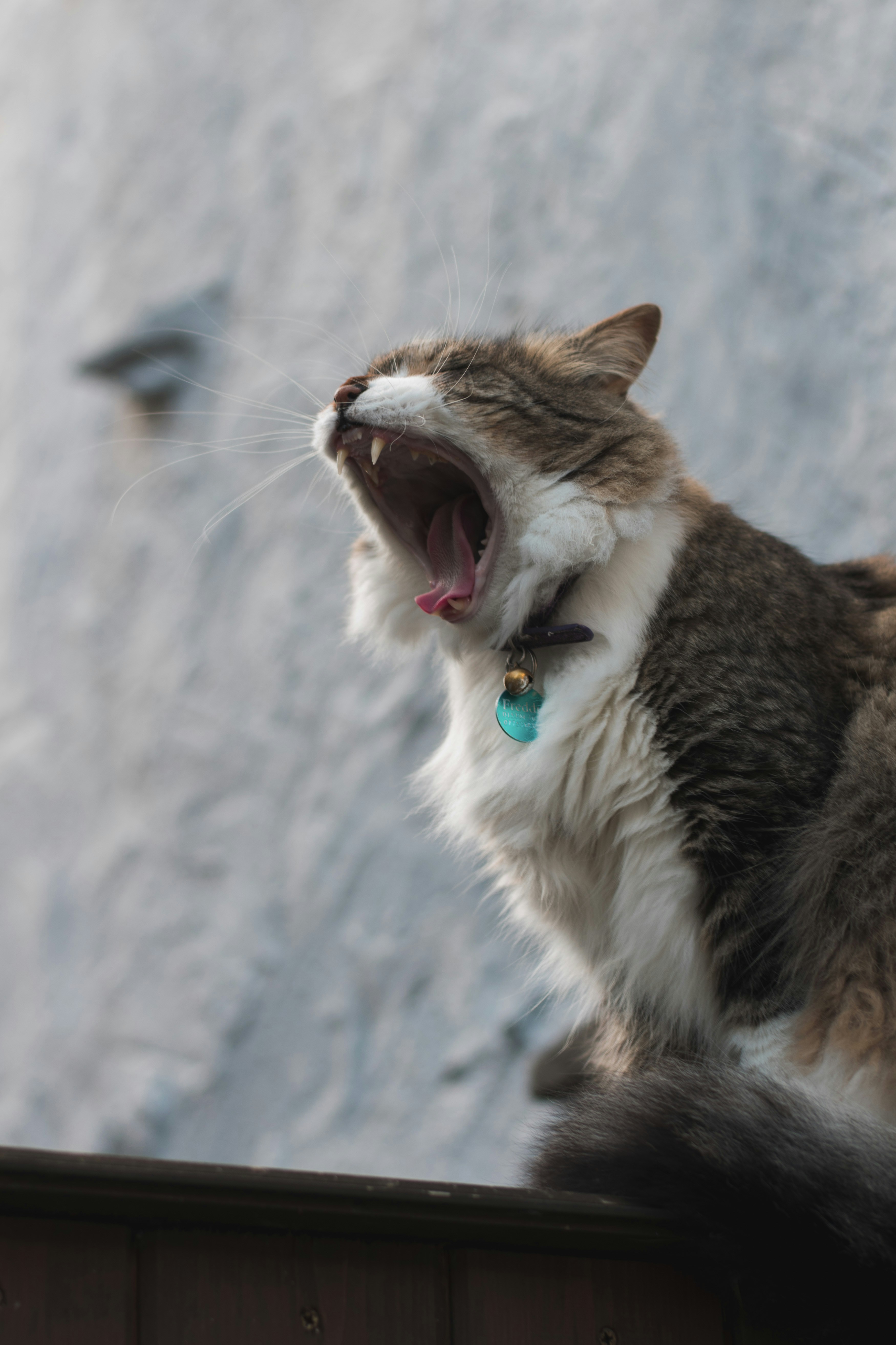 Photo by itsrobcoates