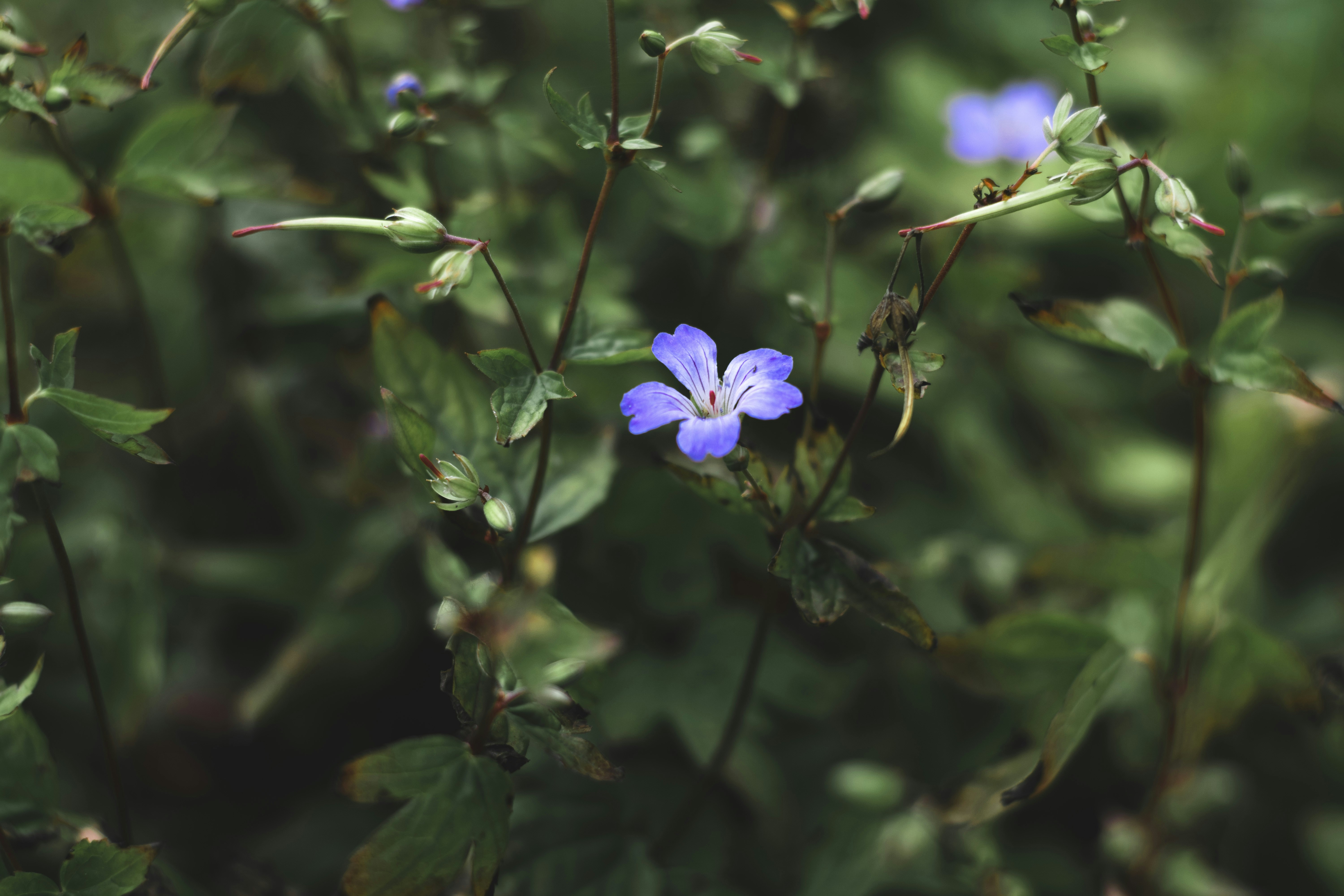 Photo by itsrobcoates