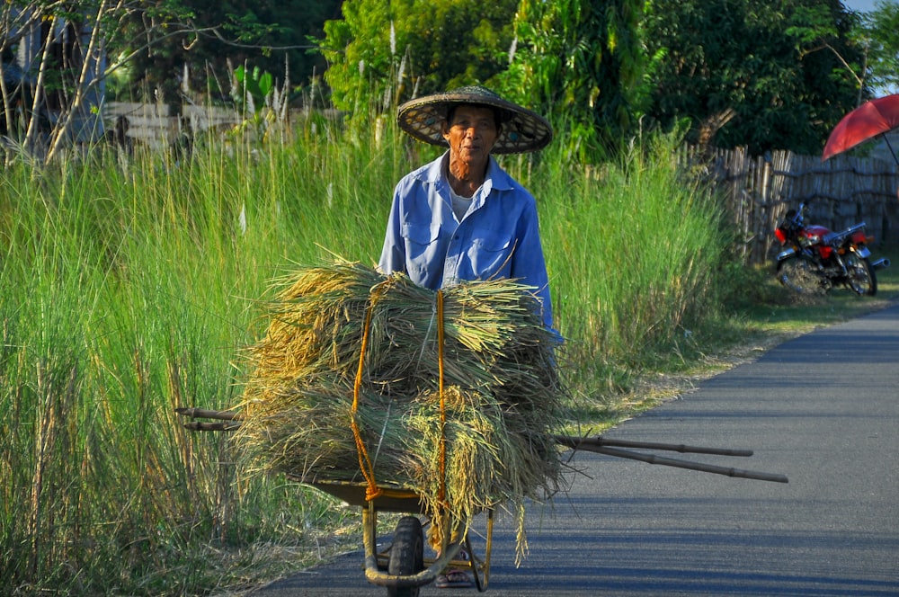 person pushing cart with wheat