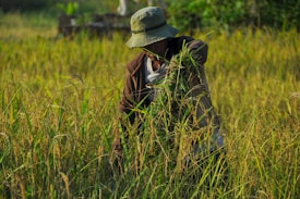 A person wearing a hat and a jacket is harvesting crops in a field filled with tall grass and ripe rice plants. The scene is set in a lush, green environment, capturing the essence of rural agricultural life.