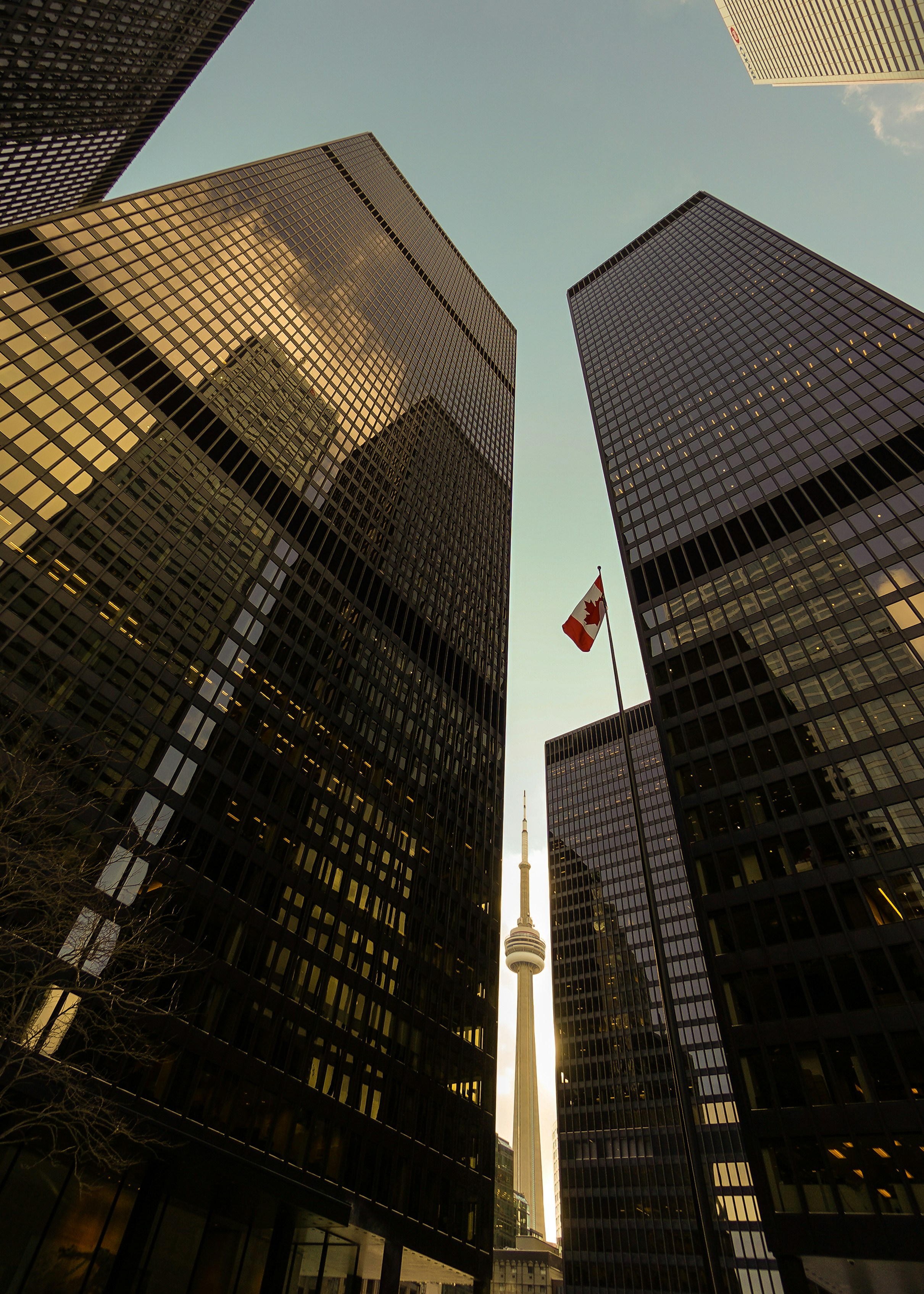 a view of the cn tower from between two skyscrapers