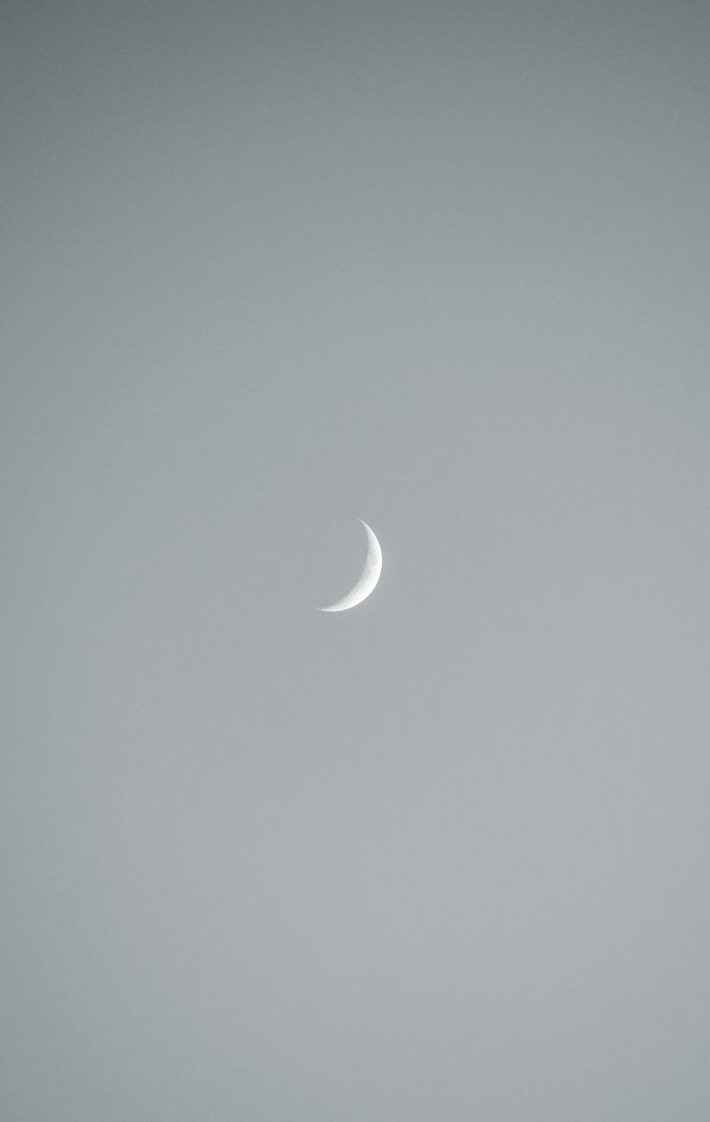moon in grey sky