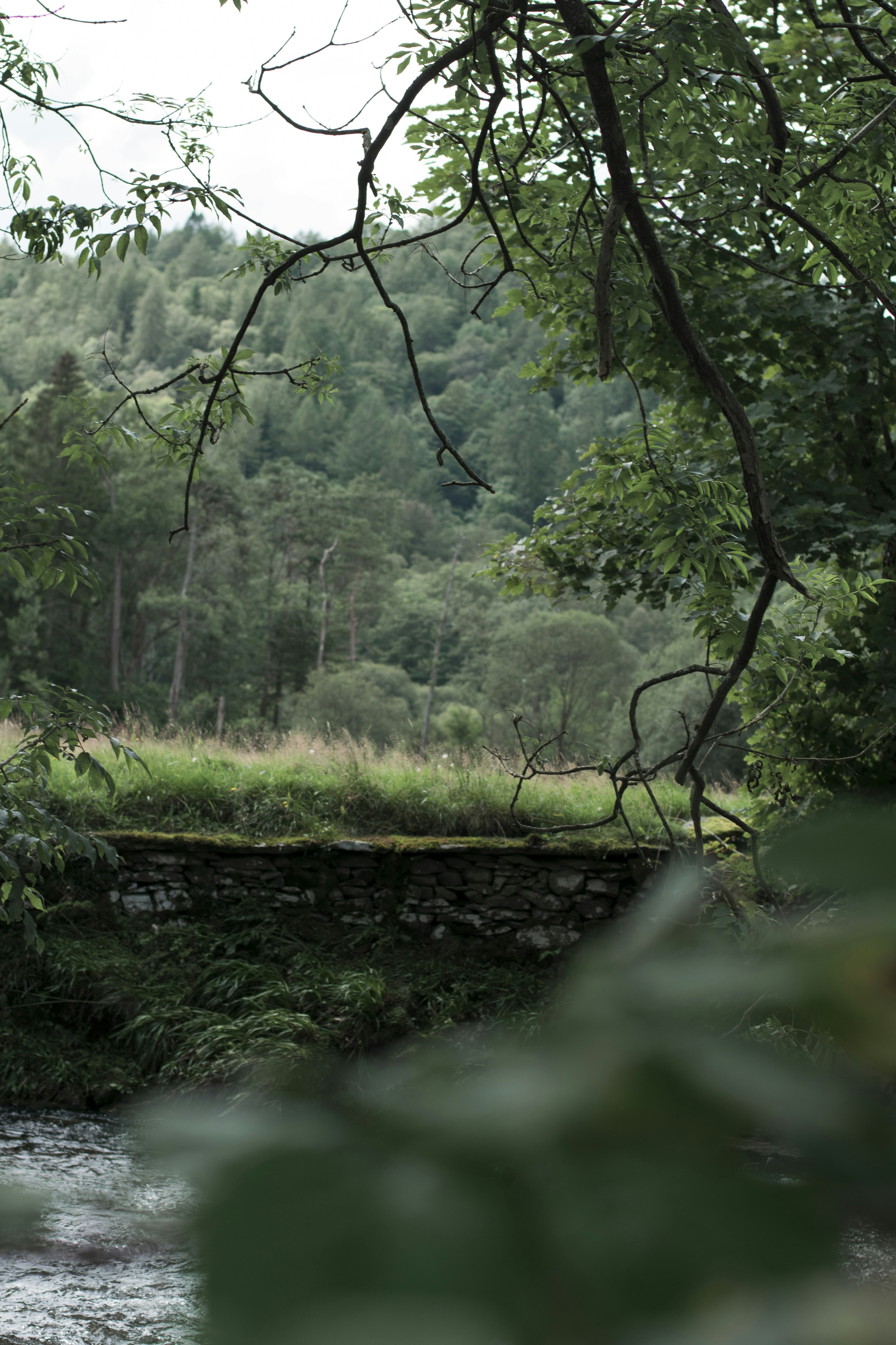 Photo by itsrobcoates