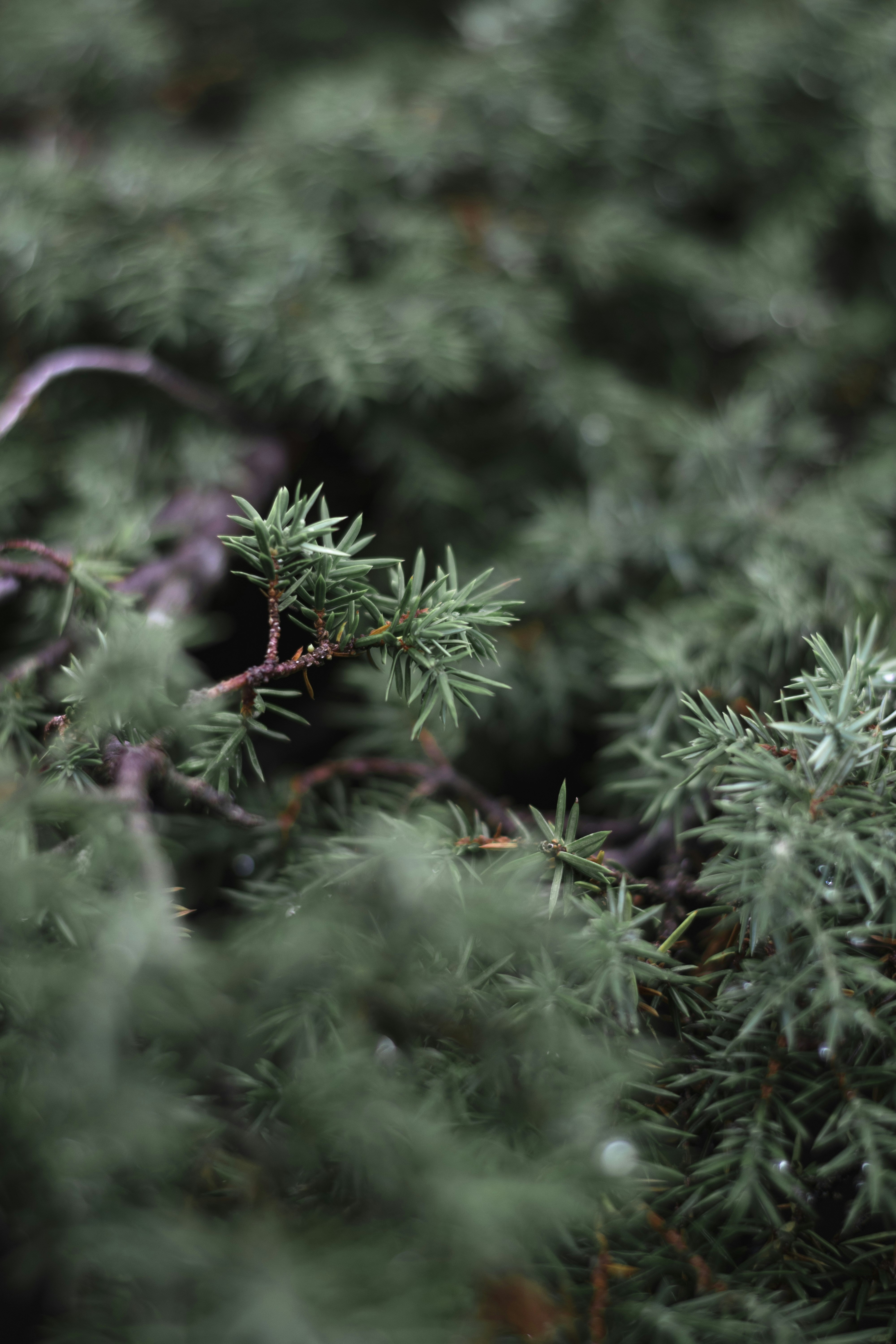 Photo by itsrobcoates