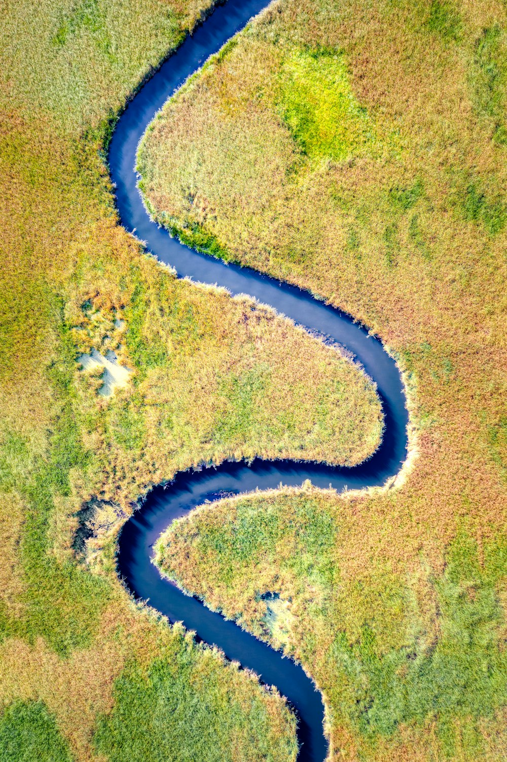 river between grass