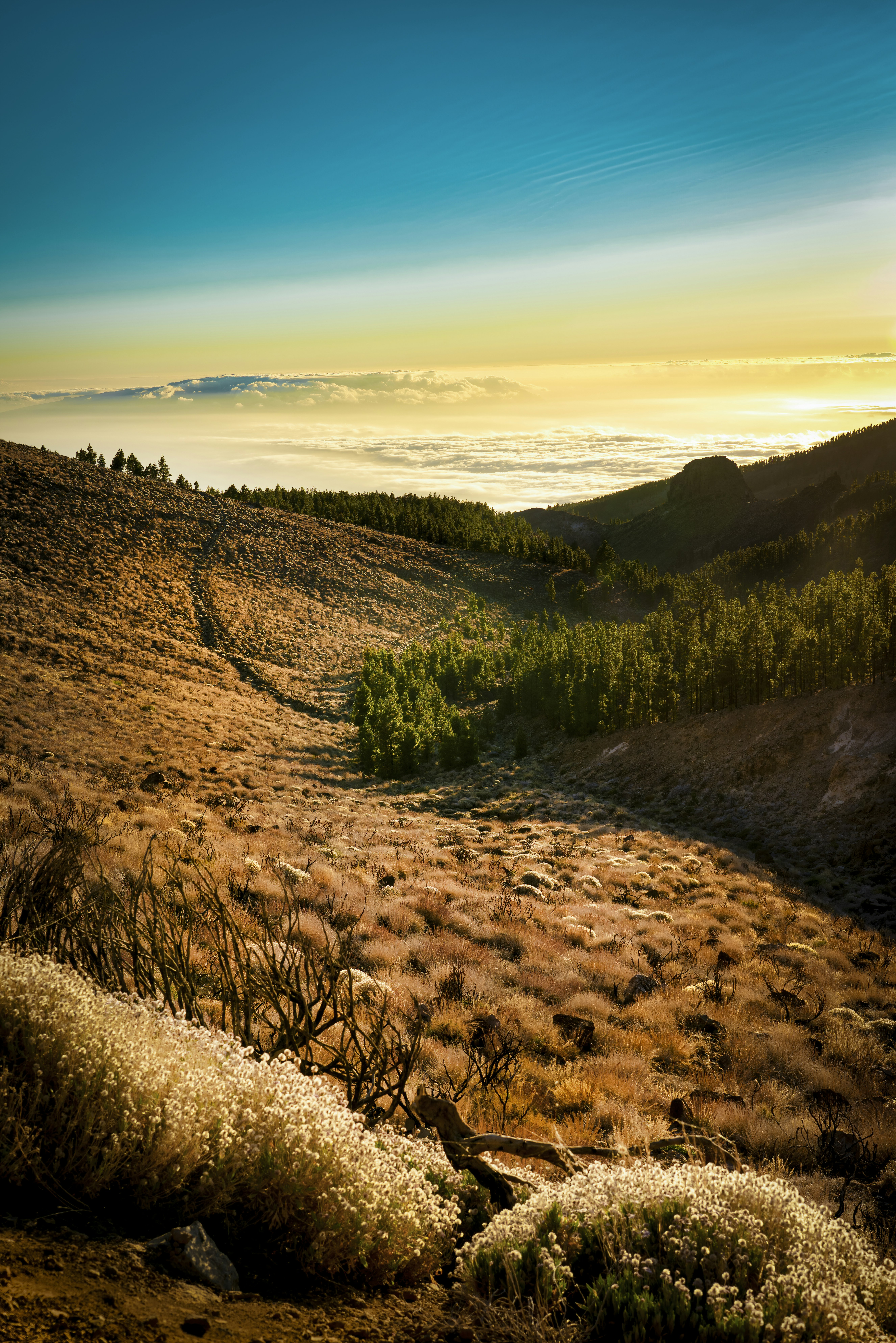 Photo by christianbuehner