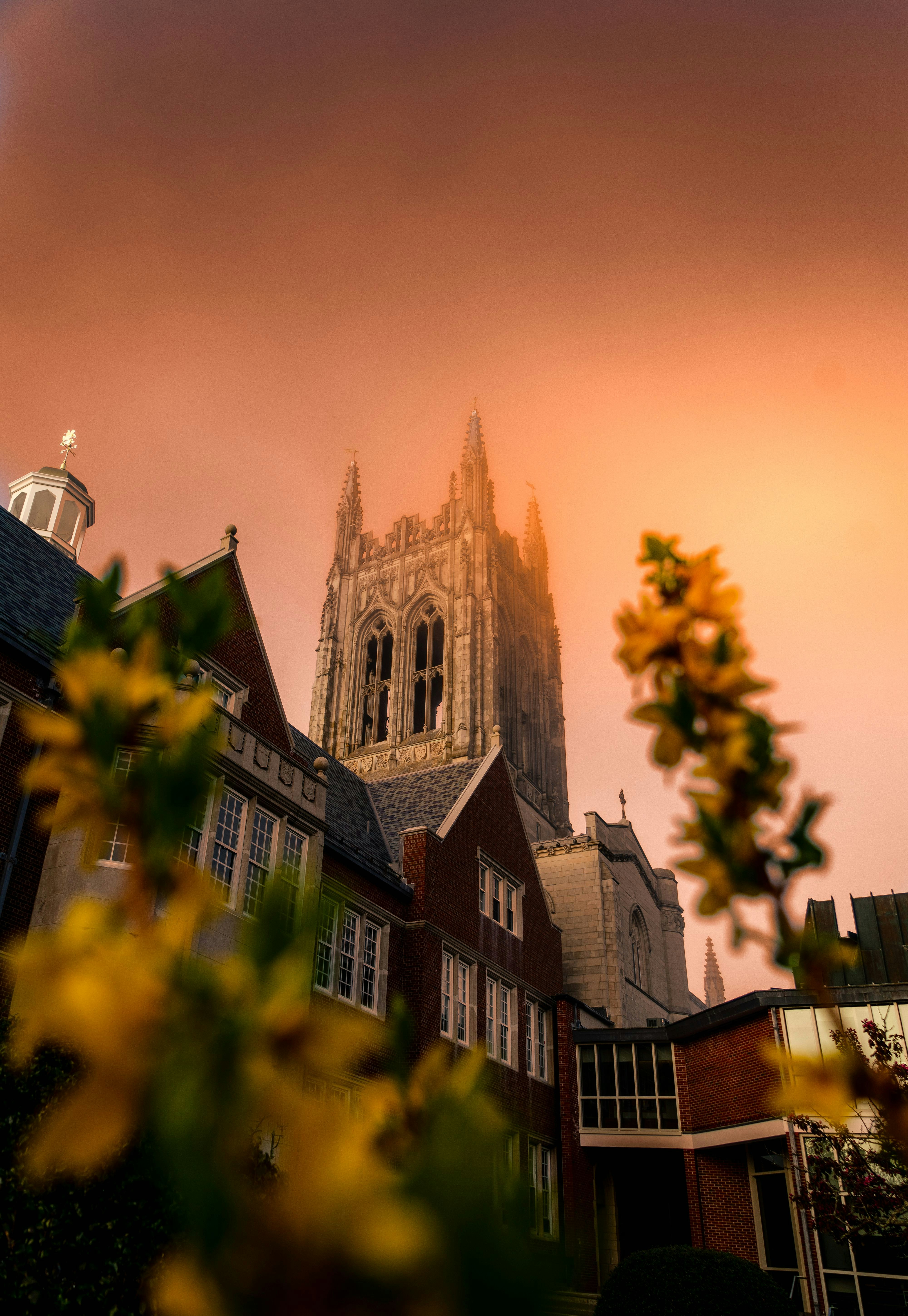 Why Your Best Practices Are Someone Else's Dead Ends