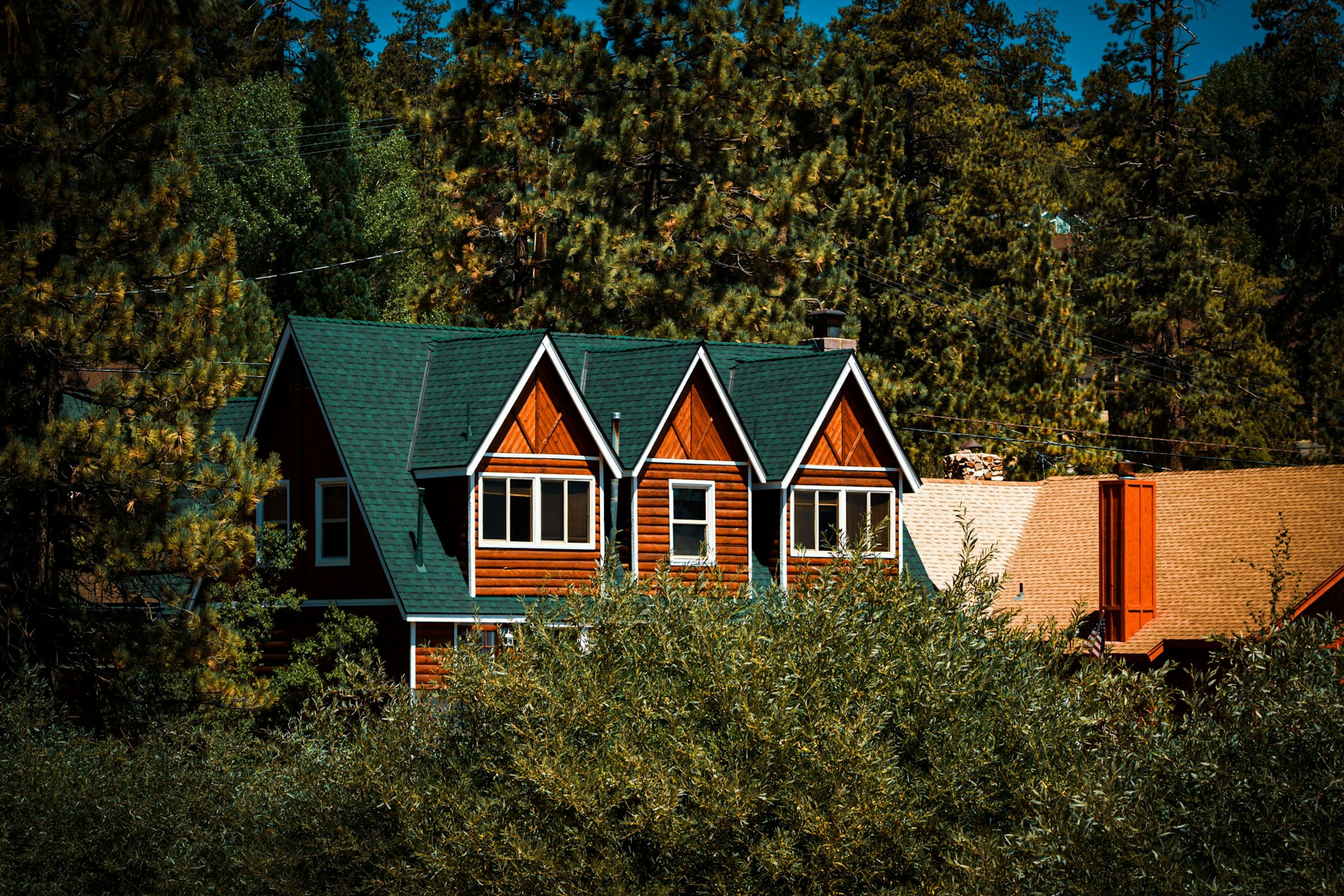 green cabin in forest