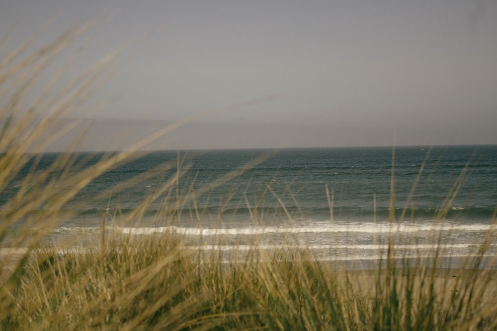 seashore waves scenery