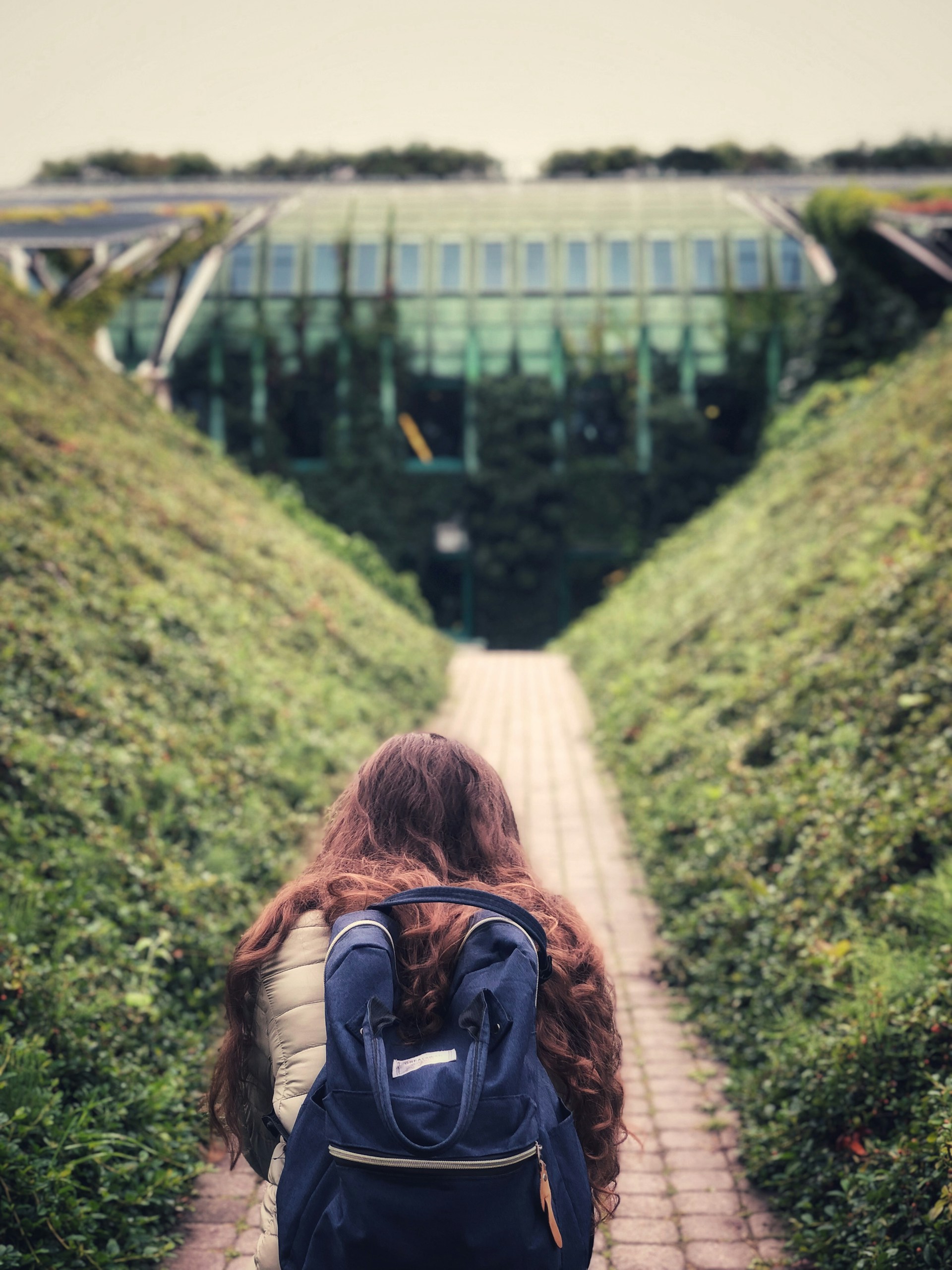 A person with long hair and a blue backpack walks down a path flanked by lush green vegetation. In the background, there is a modern glass building with a sloped green roof, integrating seamlessly with the surrounding nature.