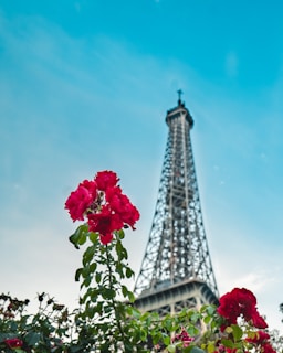 A serene view of the Eiffel Tower framed by blooming spring flowers.