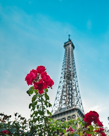 A serene view of the Eiffel Tower framed by blooming spring flowers.