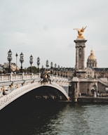 gray concrete bridge