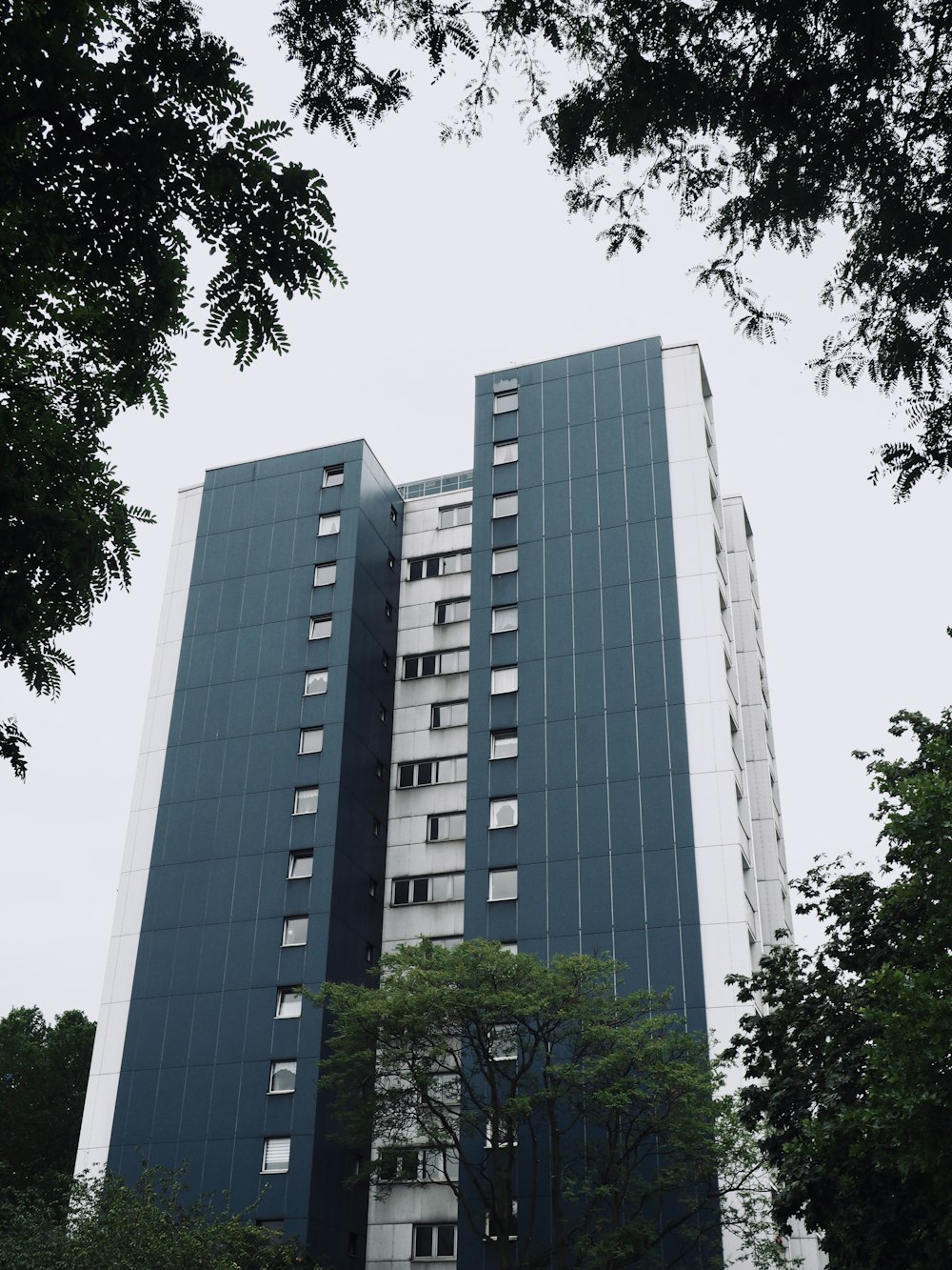 blue and white building near trees